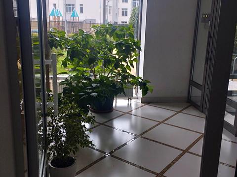 квартира за адресою Трускавецька вул., 2-А
