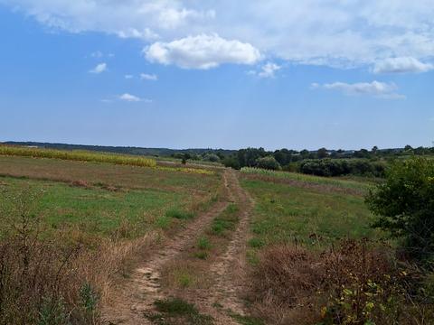 ділянка за адресою Зарічна