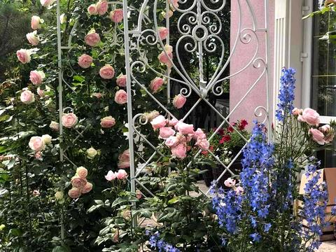 дом по адресу Чаплинская ул.