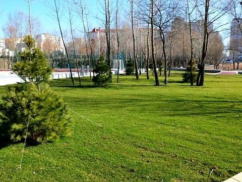 квартира за адресою Драгоманова вул., 12