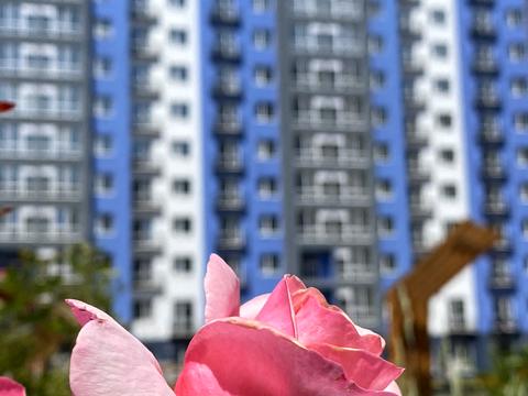 квартира по адресу Княгинин, 44