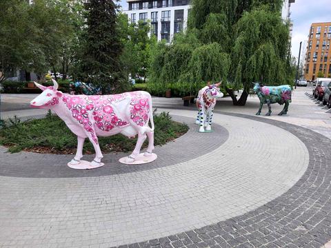 комерційна за адресою Салютна вул., 2к18