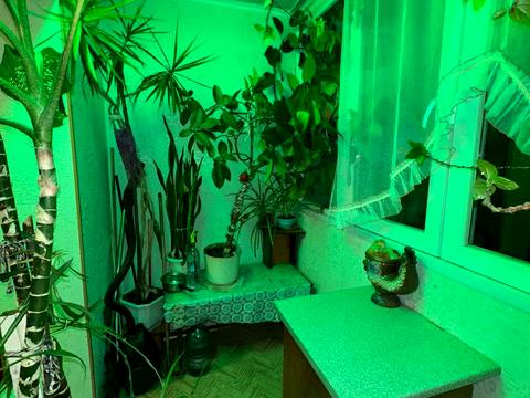 квартира за адресою Братства Тарасівців вул. (Декабристів), 9-А