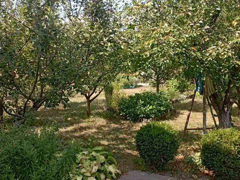 будинок за адресою с. Хвильово-Сорочин, Перемоги