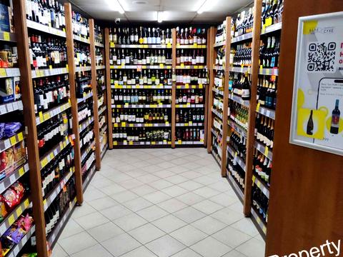 комерційна за адресою Гетьмана Кирила Розумовського вул. (Миколи Краснова), 17