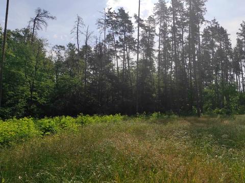 ділянка за адресою Котляревського