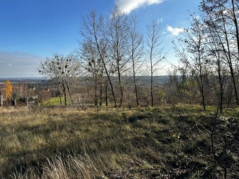 ділянка за адресою с. Старі Безрадичі, Жовтневий провулок