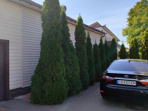 комерційна за адресою Чернігів, Козацька вул. (50 років ВЛКСМ), 54