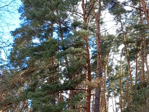 дом по адресу с. Бруновка, Центральна, 1