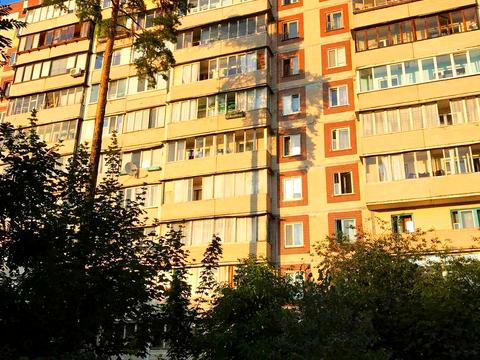 квартира по адресу Чернобыльская ул., 4/56