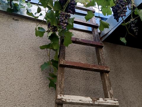 дом по адресу Амурская ул.