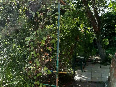 будинок за адресою Доватора