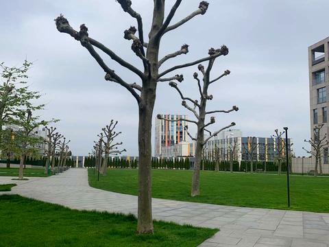 квартира за адресою Дніпро, Володимира Вернадського вул. (Дзержинського), 35-Т