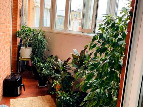 квартира по адресу Базарная ул., 5/2