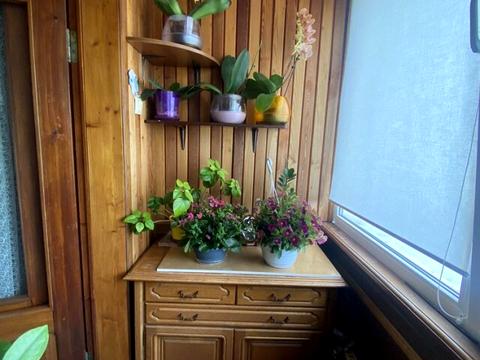 квартира за адресою Проскурівського Підпілля, 209