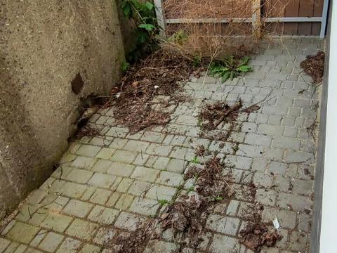 будинок за адресою Центральна вул., 1а