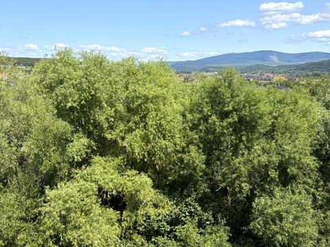 квартира по адресу Оноковская ул., 18