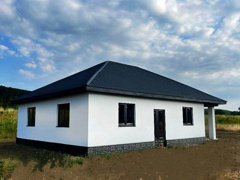 будинок за адресою с. Невицьке, Центральная