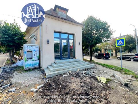 комерційна за адресою Марка Черемшини вул., 2