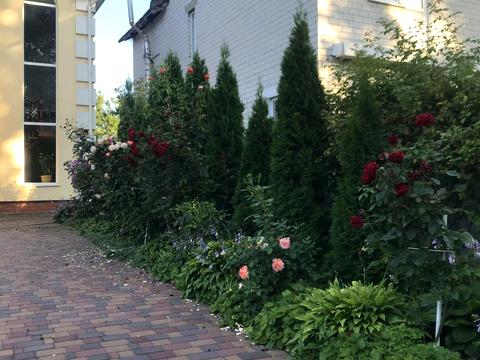 будинок за адресою Олега Онікієнка вул.