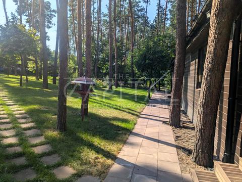 ділянка за адресою с. Ходосівка, Центральна