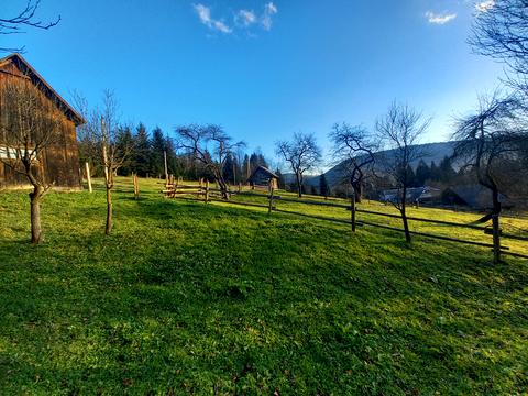 участок по адресу пгт. Верховина, вул. Невестюка
