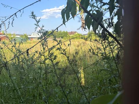 ділянка за адресою Сабарівське шосе