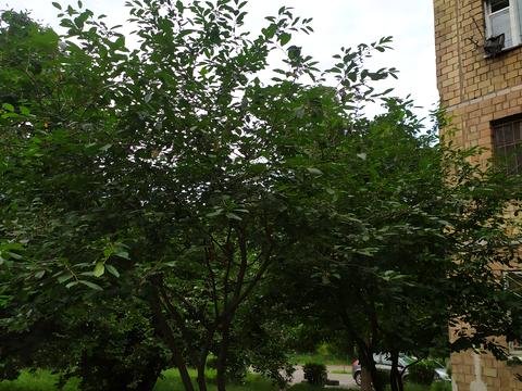 квартира по адресу Тираспольская ул., 43-Г