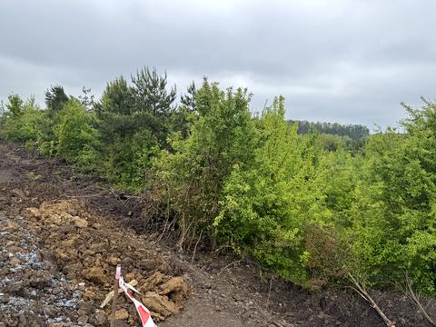 ділянка за адресою 