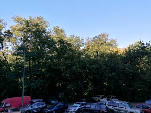 квартира за адресою Академіка Шалімова вул., 69-Б