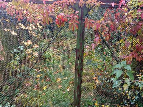 участок по адресу Богатырская ул., 42