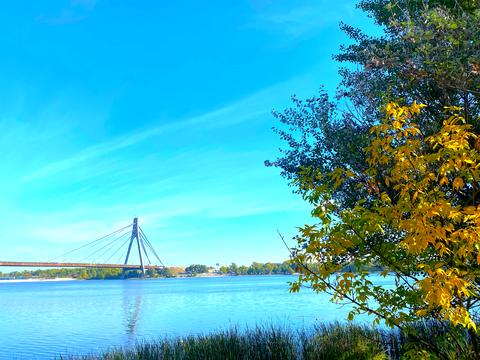 квартира за адресою Набережно-Рибальська вул., 27