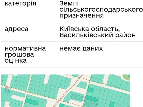 ділянка за адресою СТ Мрія