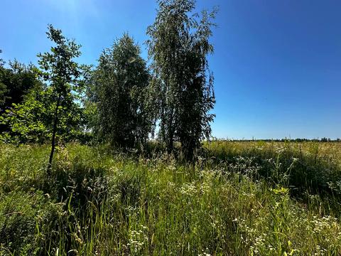 участок по адресу 