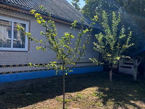 будинок за адресою с. Іванів, Поштова вул., 74