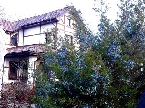 будинок за адресою Люботин
