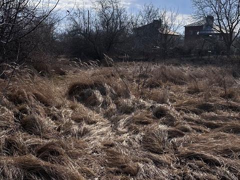 ділянка за адресою Дачна вул.