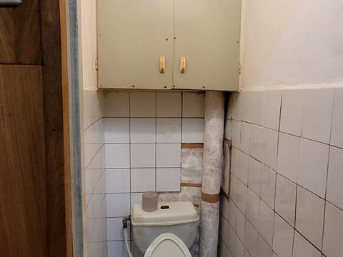 квартира за адресою Раїси Окіпної вул., 9