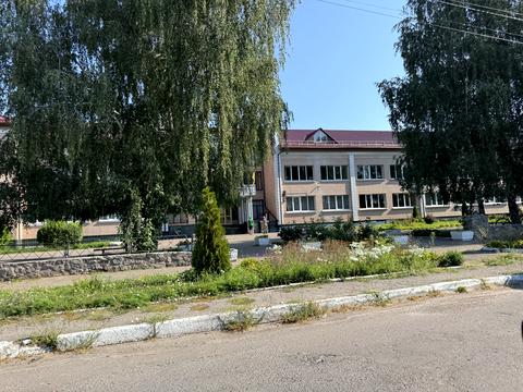 дом по адресу с. Вергуны, Свято-Троїцька, 180