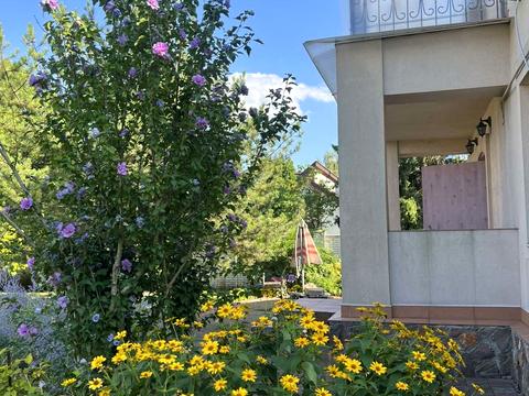 дом по адресу Оболонська