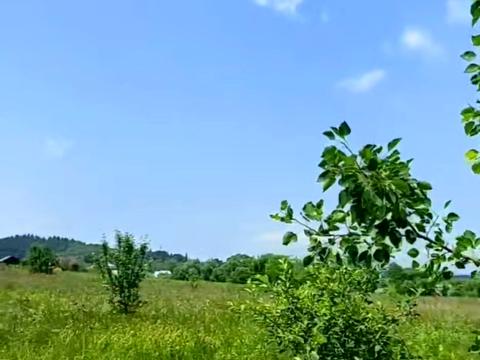 ділянка за адресою Затишна