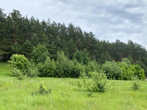 будинок за адресою онтаріо