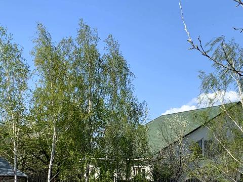 участок по адресу пгт. Козин, 