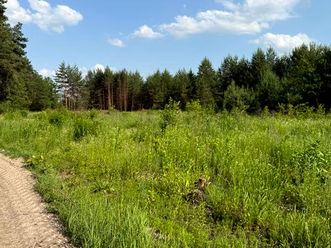 ділянка за адресою 