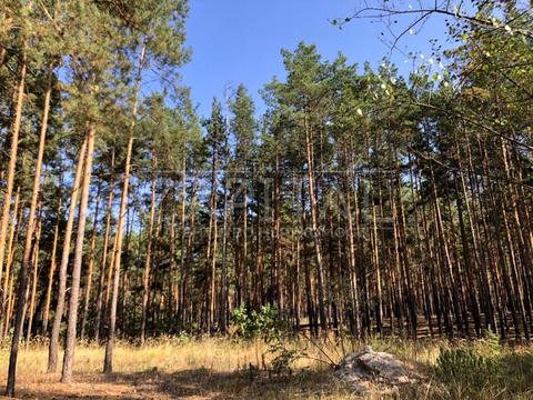 дом по адресу Вишгородський