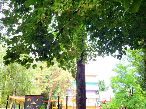 квартира за адресою Василя Іваниса вул. (Миколи Матеюка), 5