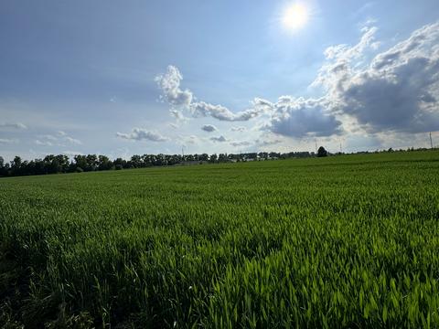 ділянка за адресою 