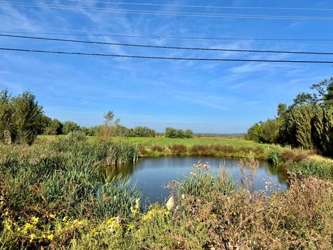 комерційна за адресою Центральна вул., 21