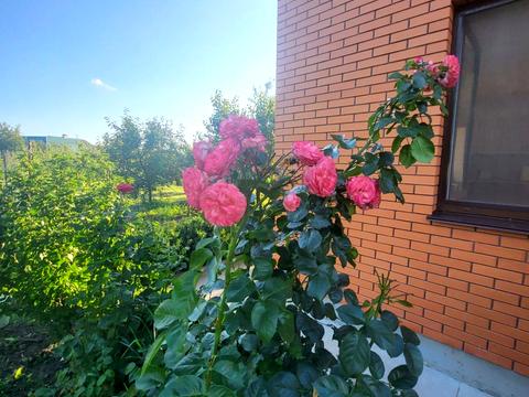 будинок за адресою Ватутіна пров., 99