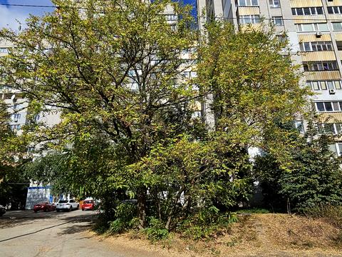 квартира за адресою Слави бульв., 52
